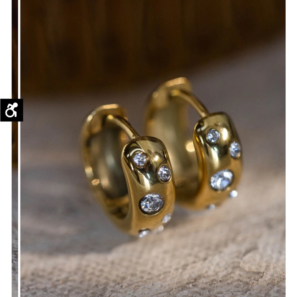 Brand: Bohme | Style: Gold Hoop Earrings | Color : Gold w/ diamonds